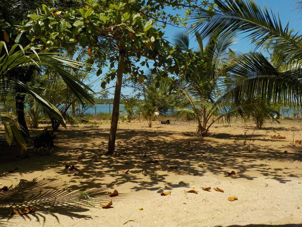 מלון Nachivantivu Reef Pasikudah מראה חיצוני תמונה