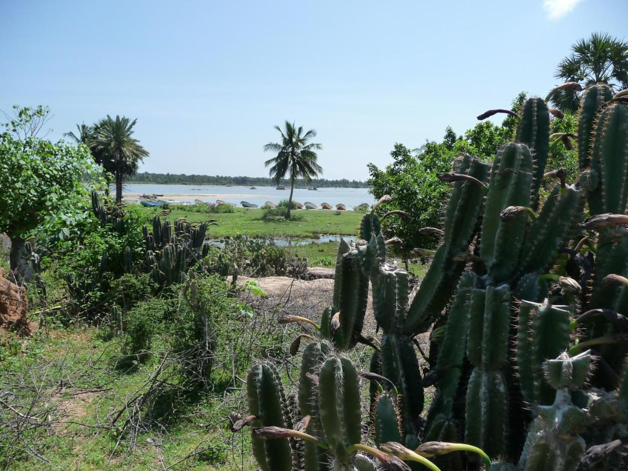 מלון Nachivantivu Reef Pasikudah מראה חיצוני תמונה